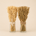 Avena Essiccata con Vaso H.31 cm