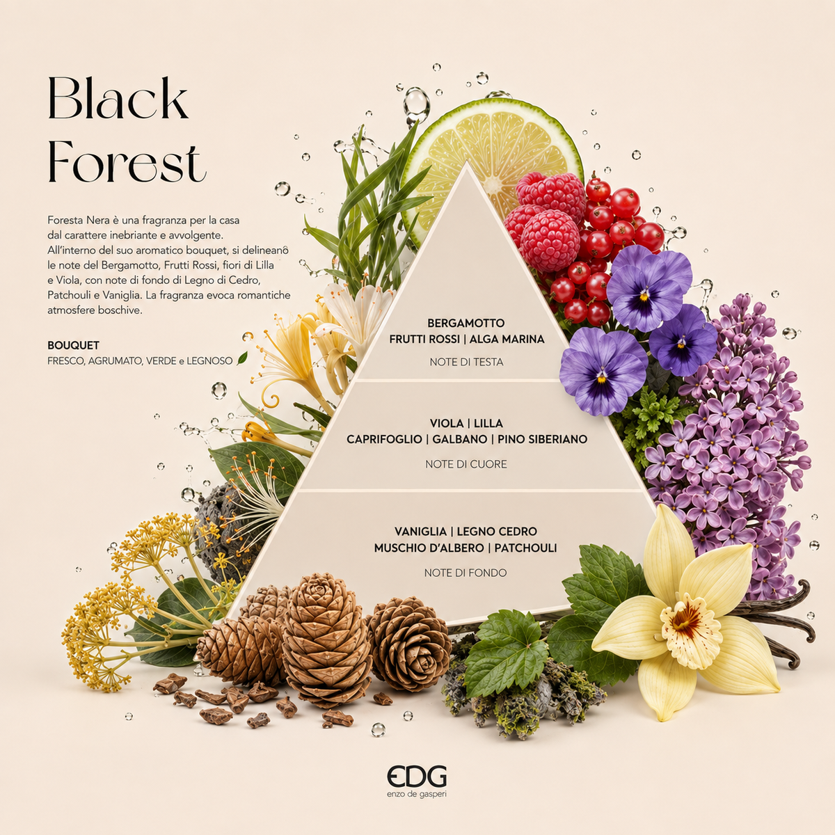 Diffusore di Profumo EDG Golden Muse Black Forest 330 ml