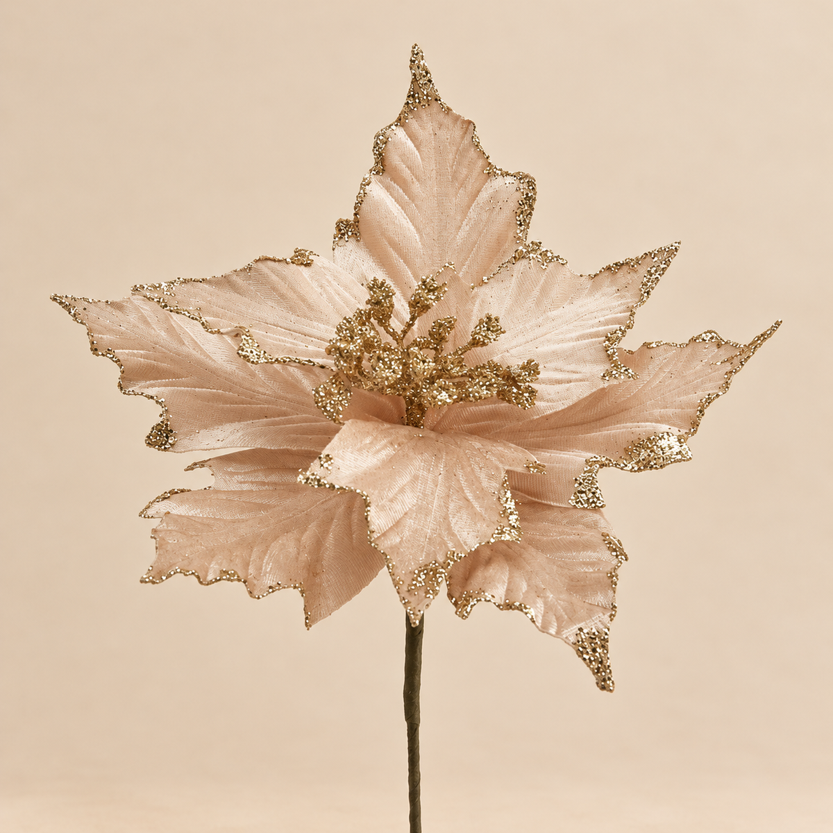 Stella di Natale Champagne con Bordi Glitter Oro e Rametto Decorativo – Ø 22 cm
