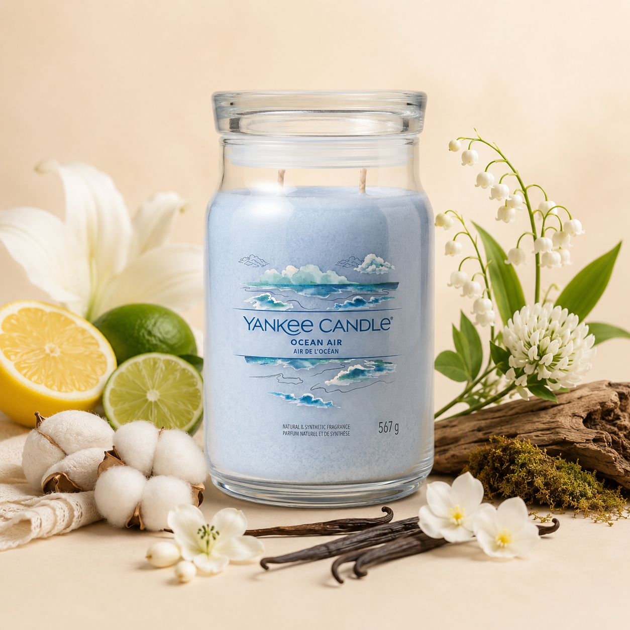 Yankee Candle Giara 567gr Ocean Air
