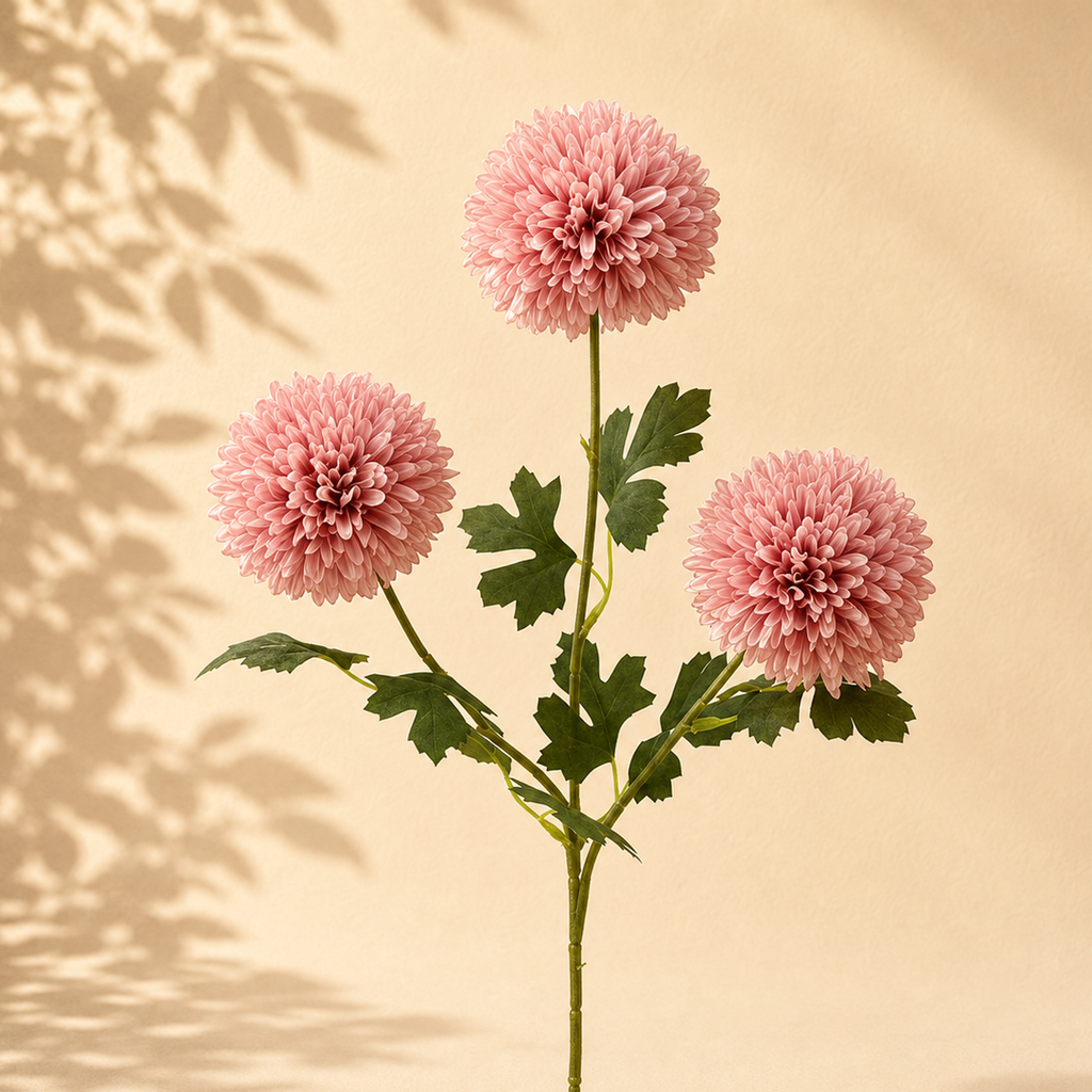 Dalia Ponpon Rosa