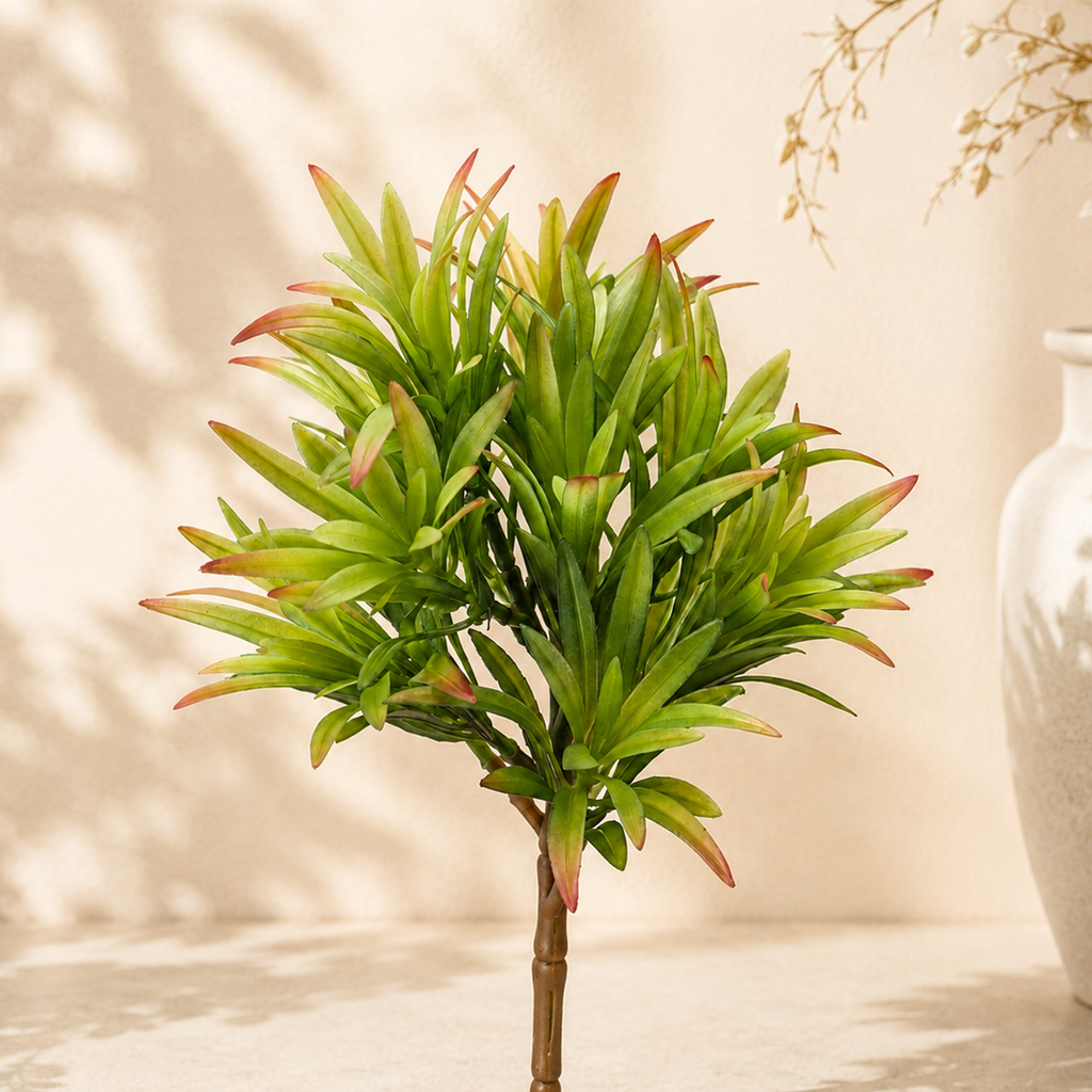 Crassula h.26cm