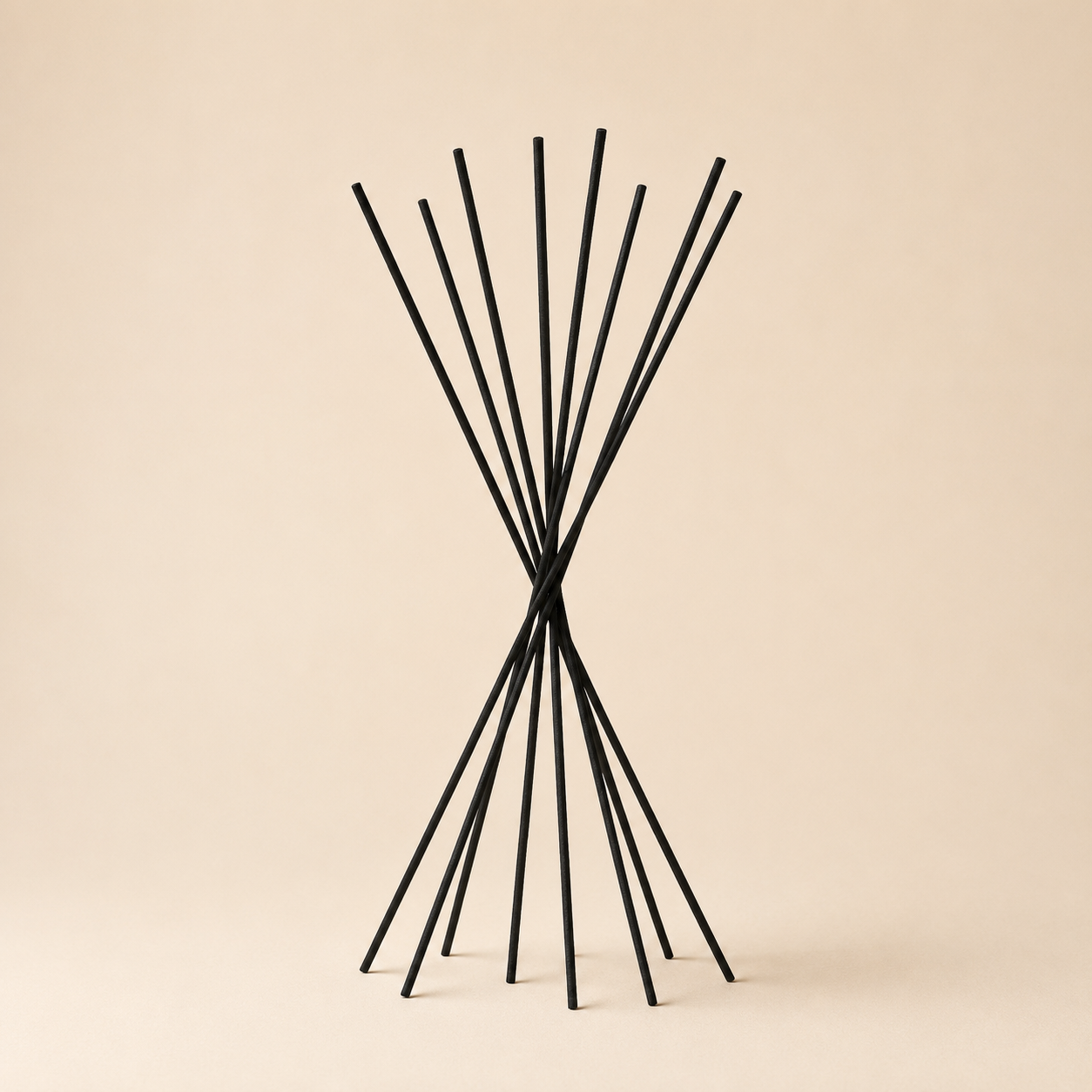 Bastoncini rattan per profuma ambiente h.42cm neri