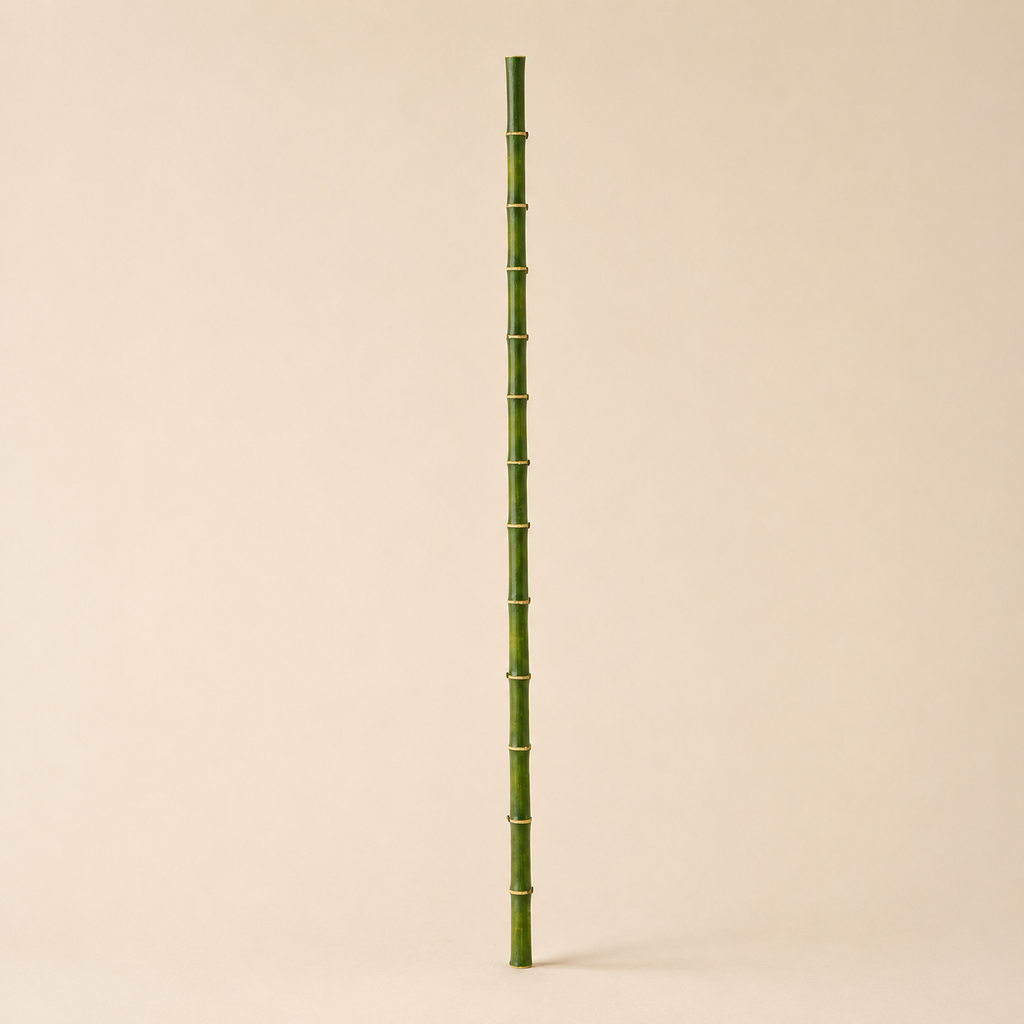 Bamboo Verde h.185cm