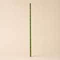 Bamboo Verde h.185cm