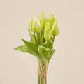 Mazzo tulipani h.29 Piante e fiori artificiali