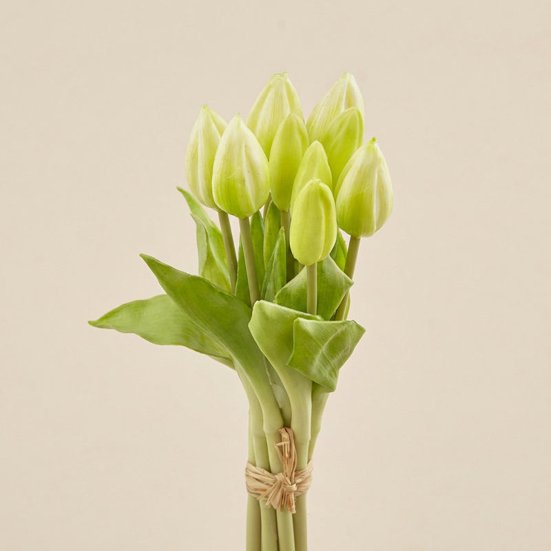 Mazzo tulipani h.29 Piante e fiori artificiali