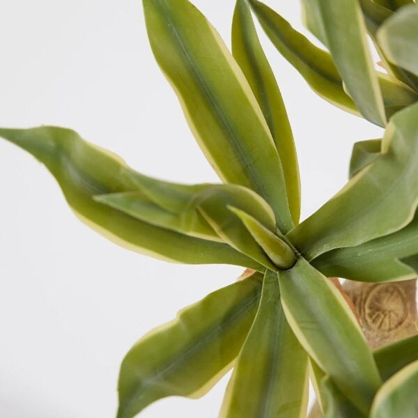 Agave Chic Artificiale H.70 cm con vaso