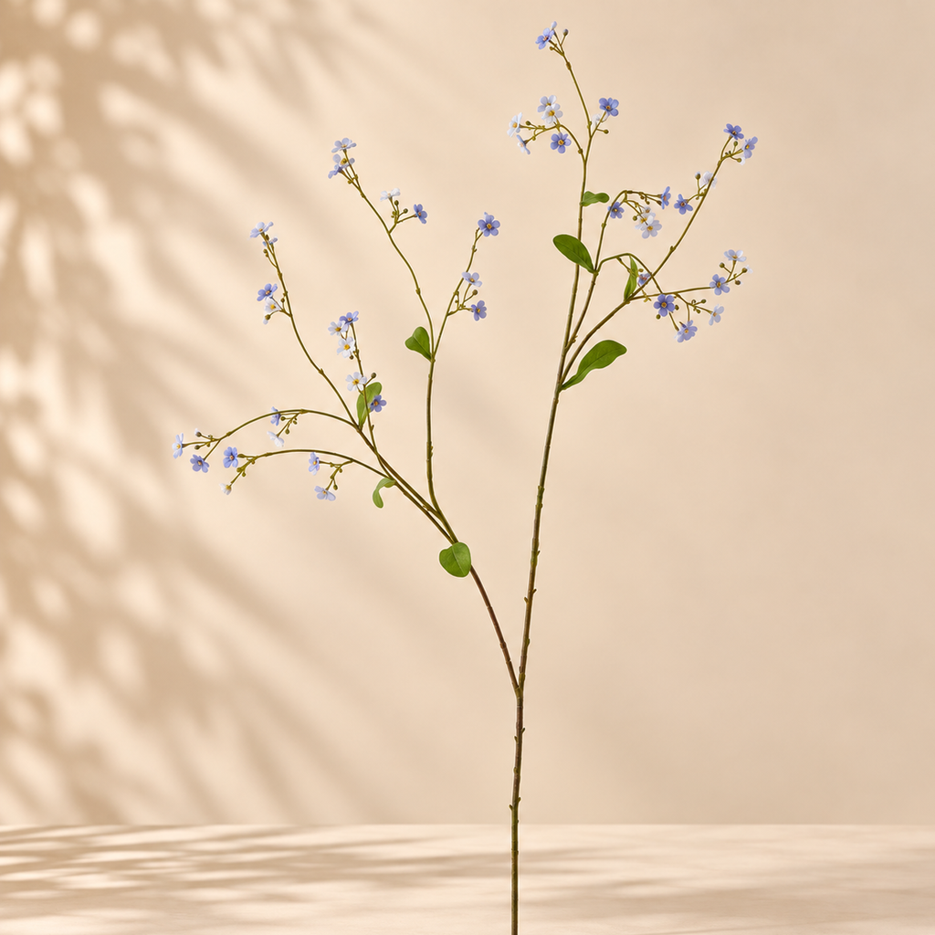 Gypsophila Rex EDG H 115 cm