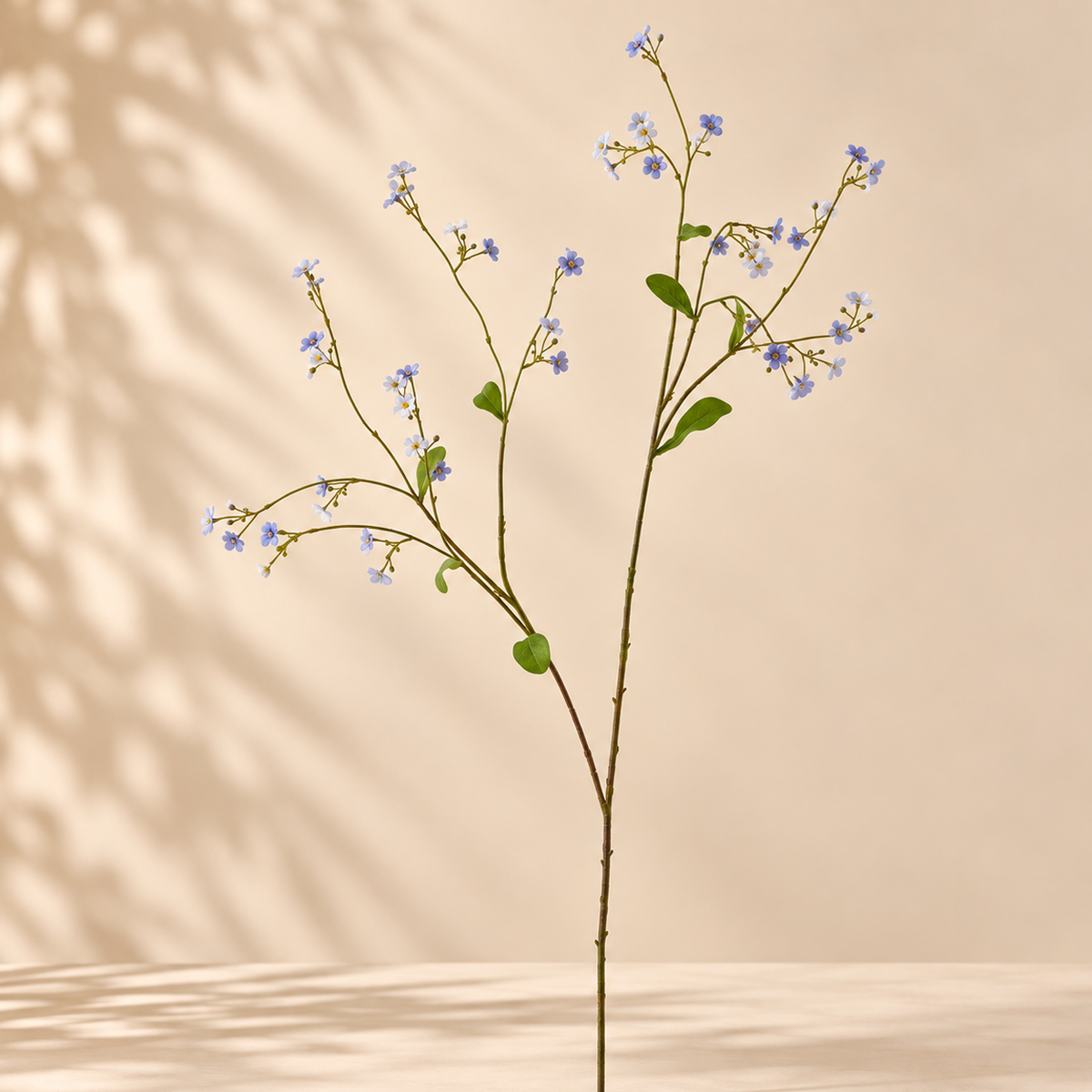 Gypsophila Rex EDG H 115 cm