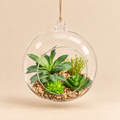 Terrario Sospeso EDG in Vetro Trasparente con Piante Grasse Artificiali, Ghiaia Decorativa e Corda