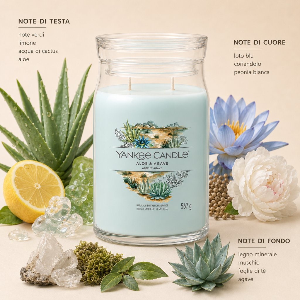 Yankee Candle Giara 567gr Aloe & Agave