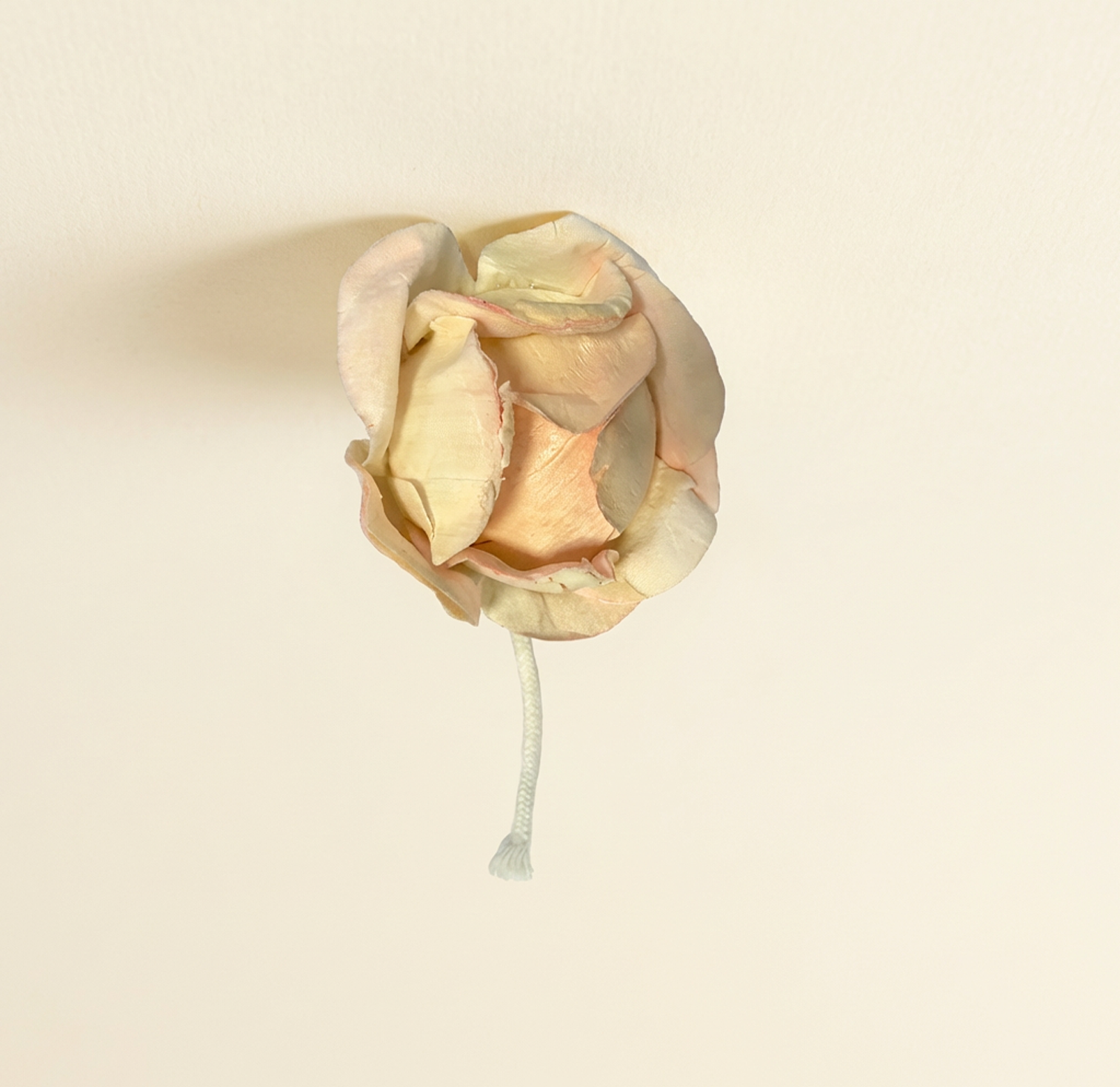 Fiore diffusore con stoppino per essenze ambiente