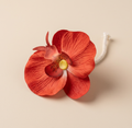 Fiore diffusore con stoppino per essenze ambiente Accessori diffusori osmosi