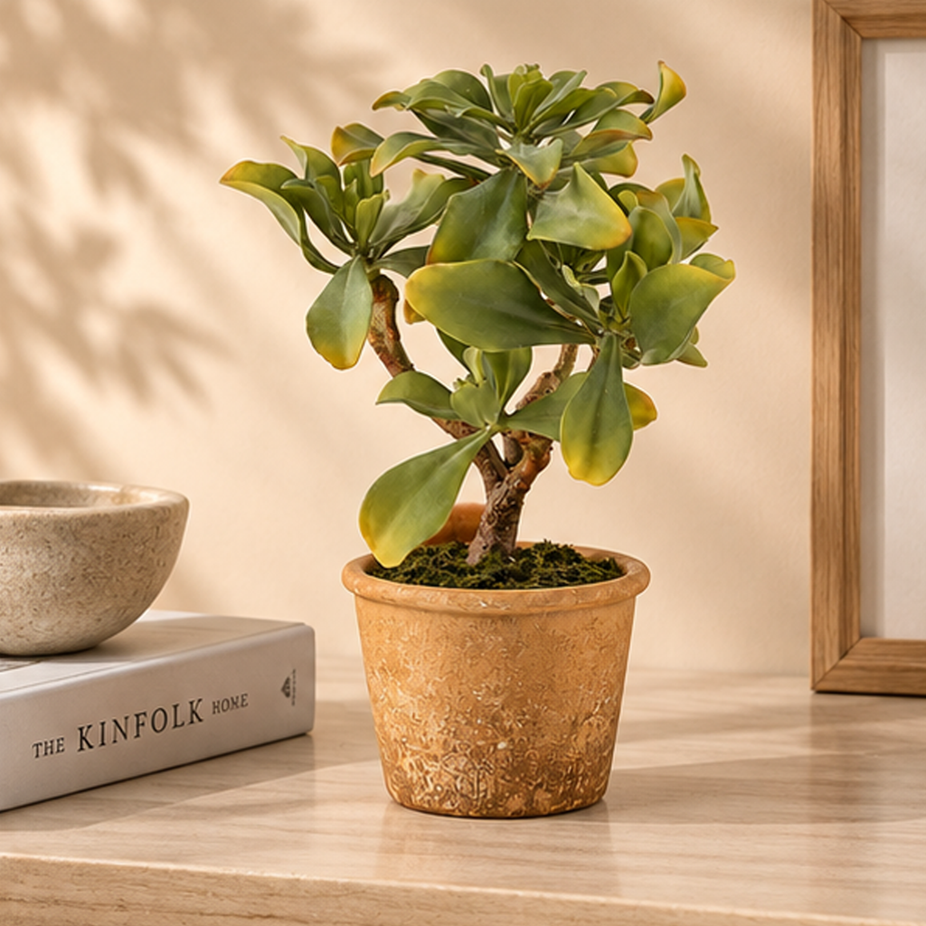 Echeveria West Artificiale con Vaso EDG – H 38 cm