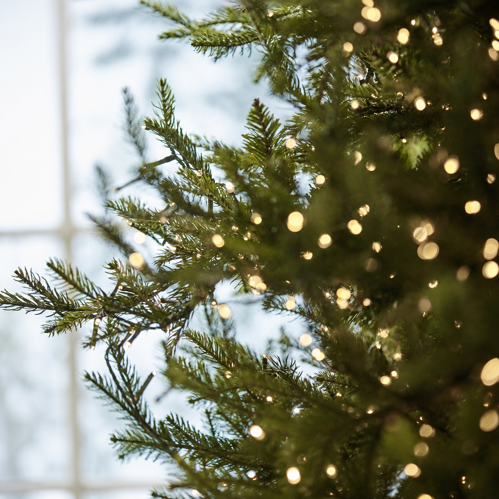 Albero di Natale Luxury EDG con 3000 LED h.180cm