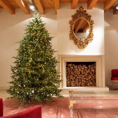Albero di Natale Luxury EDG con 5000 LED h.240cm