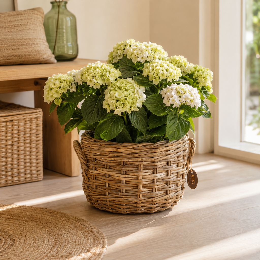 Cesto coprivaso Rotondo in Rattan – Ø 35 x H 25 cm