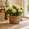 Cesto coprivaso Rotondo in Rattan – Ø 35 x H 25 cm
