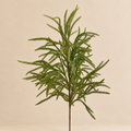 Ramo Cedro del Giappone Verde H 71 cm - EDG