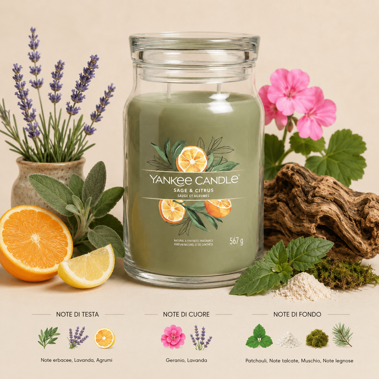 Yankee Candle Giara 567gr Sage & Citrus