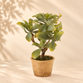 Echeveria West Artificiale con Vaso EDG – H 38 cm