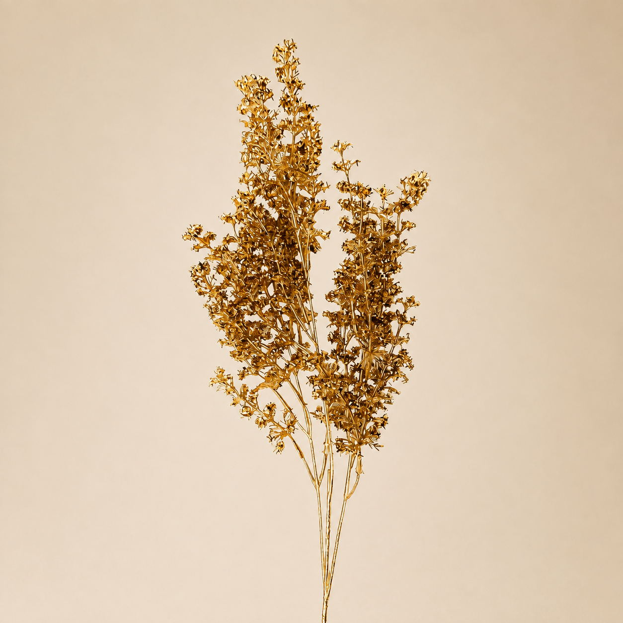 Ramo Celosia Glitter Oro – H 70 cm