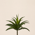 Agave West Artificiale H.25 cm