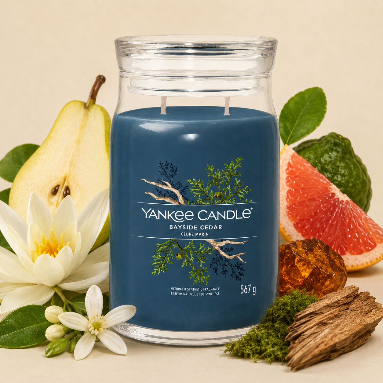 Yankee Candle Giara 567gr Bayside Cedar