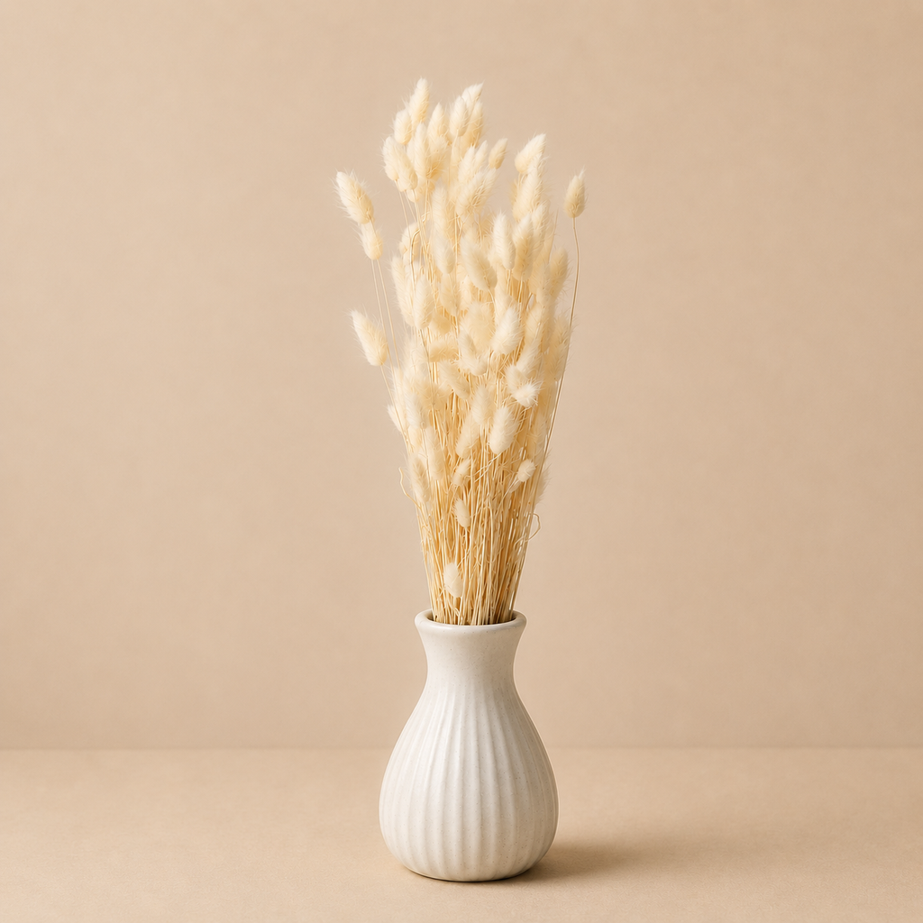 Coda di Lepre Essiccata Naturale – H 73 cm