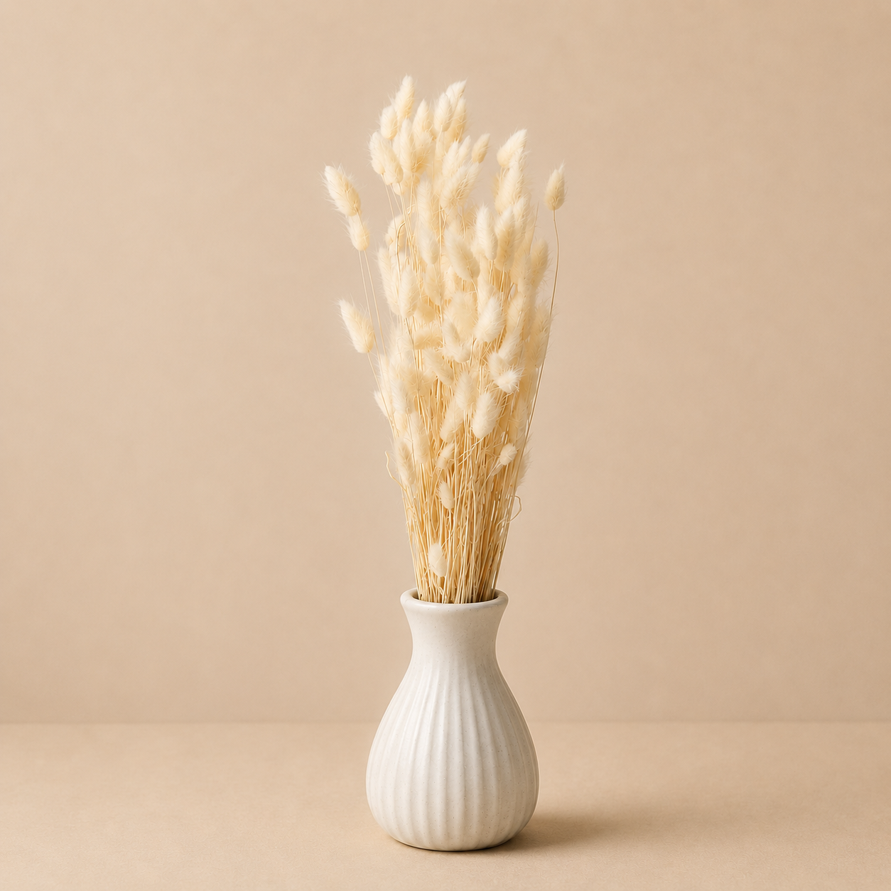 Coda di Lepre Essiccata Naturale – H 73 cm