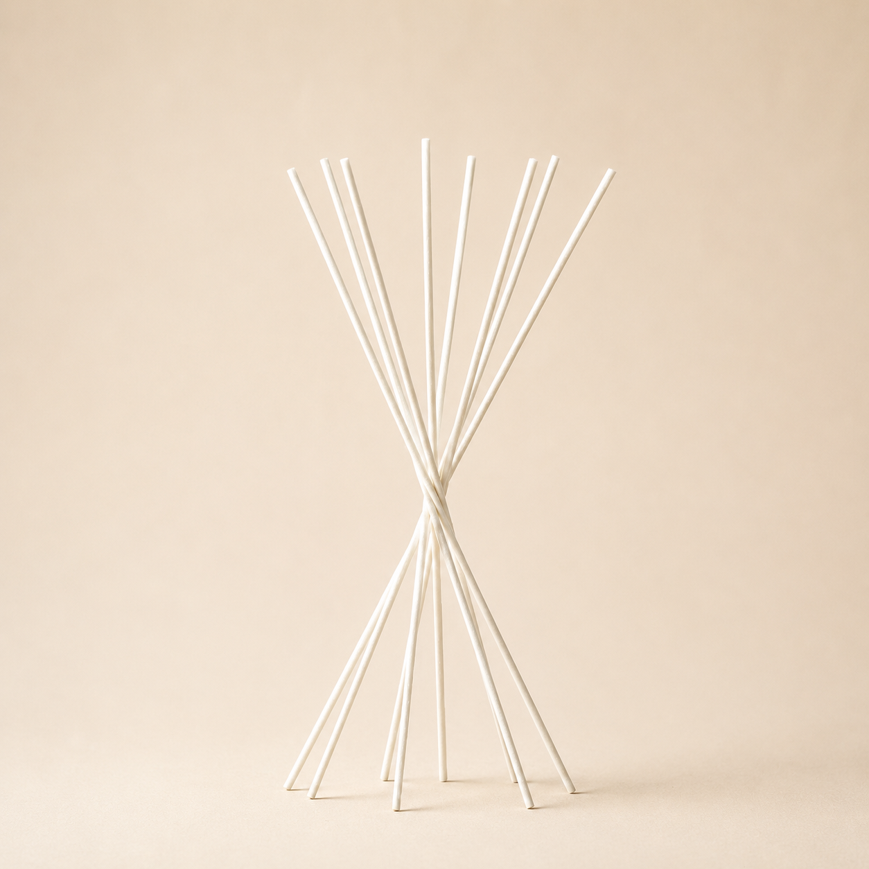 Bastoncini diffusori essenza per ambiente h.35cm bianco