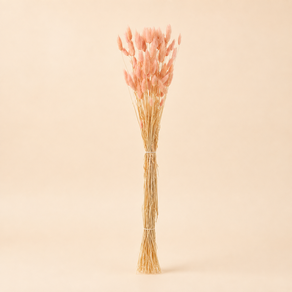 Code di Lepre Essiccate Rosa – H 82 cm