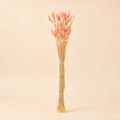 Code di Lepre Essiccate Rosa – H 82 cm