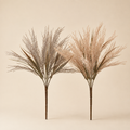 Cespuglio Pampas Dry Decorativo – H 40 cm