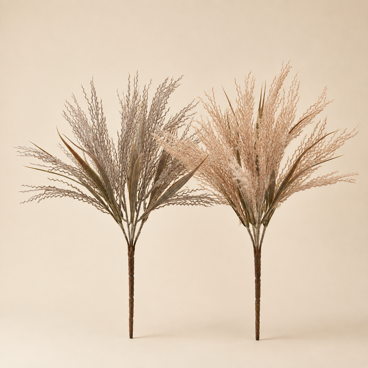Cespuglio Pampas Dry Decorativo – H 40 cm