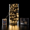 Catena Luminosa MicroLED 40 LED Bianco Caldo 2,9 m a Batteria - EDG