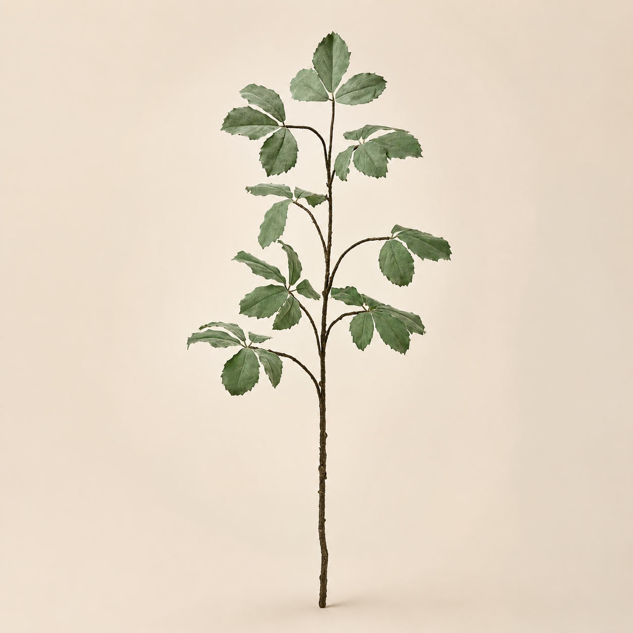 Ramo Coffea Rex Decorativo – H 161 cm – Effetto Velluto