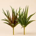 Agave Olis Real Touch H.24 cm