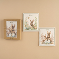 Set 6 spugne cellulosa Rabbit Pepen