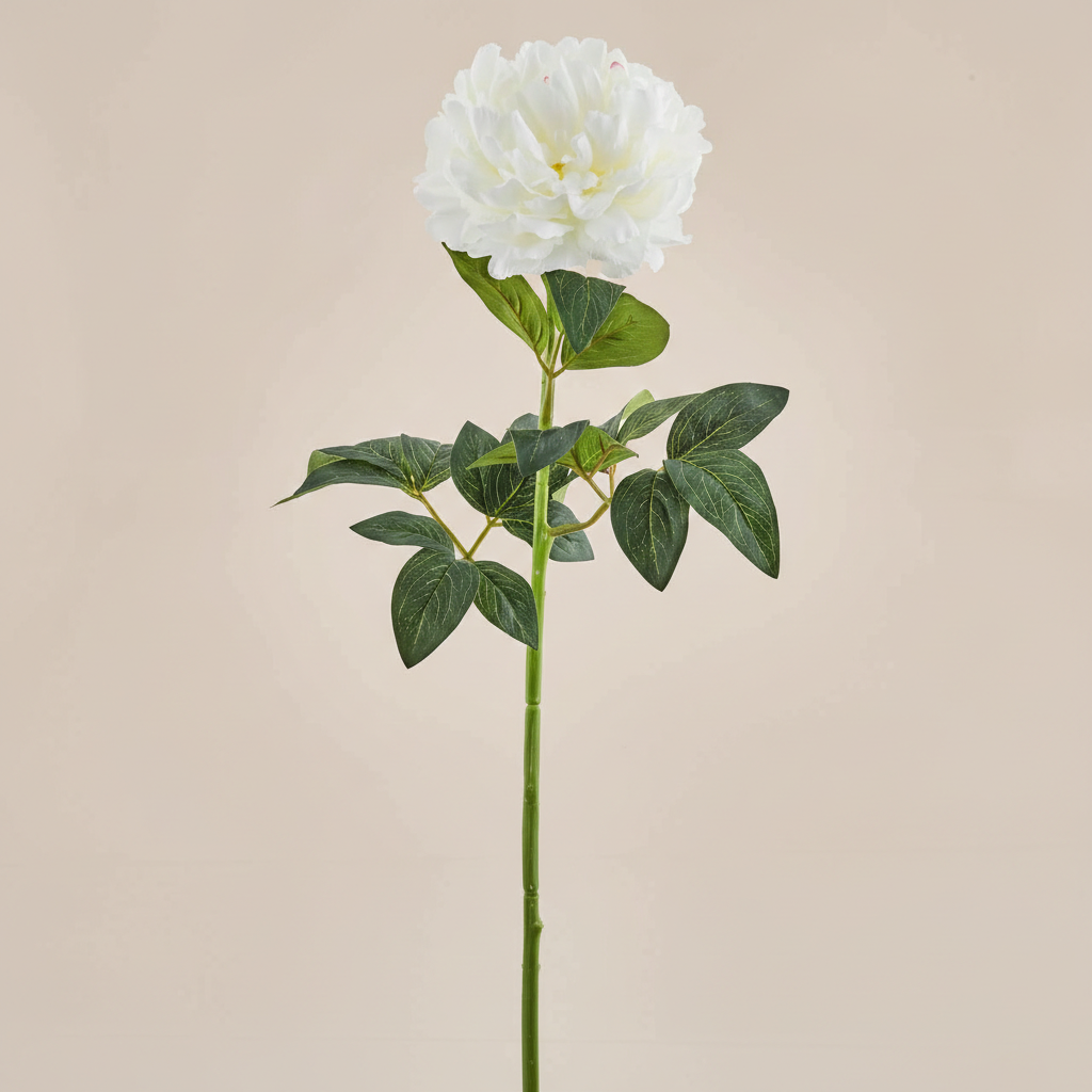 Peonia Rex bianca Piante e fiori artificiali