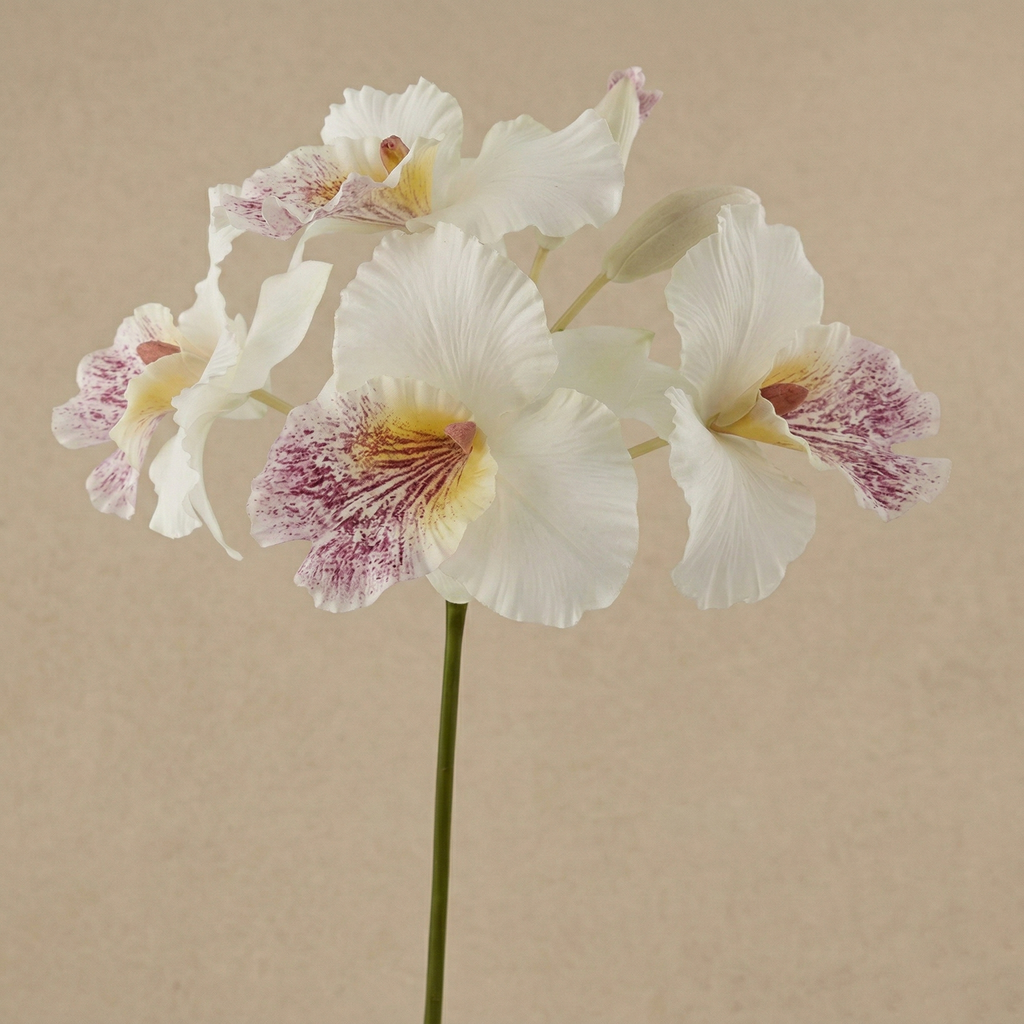 Mazzo orchidea h.43 Piante e fiori artificiali