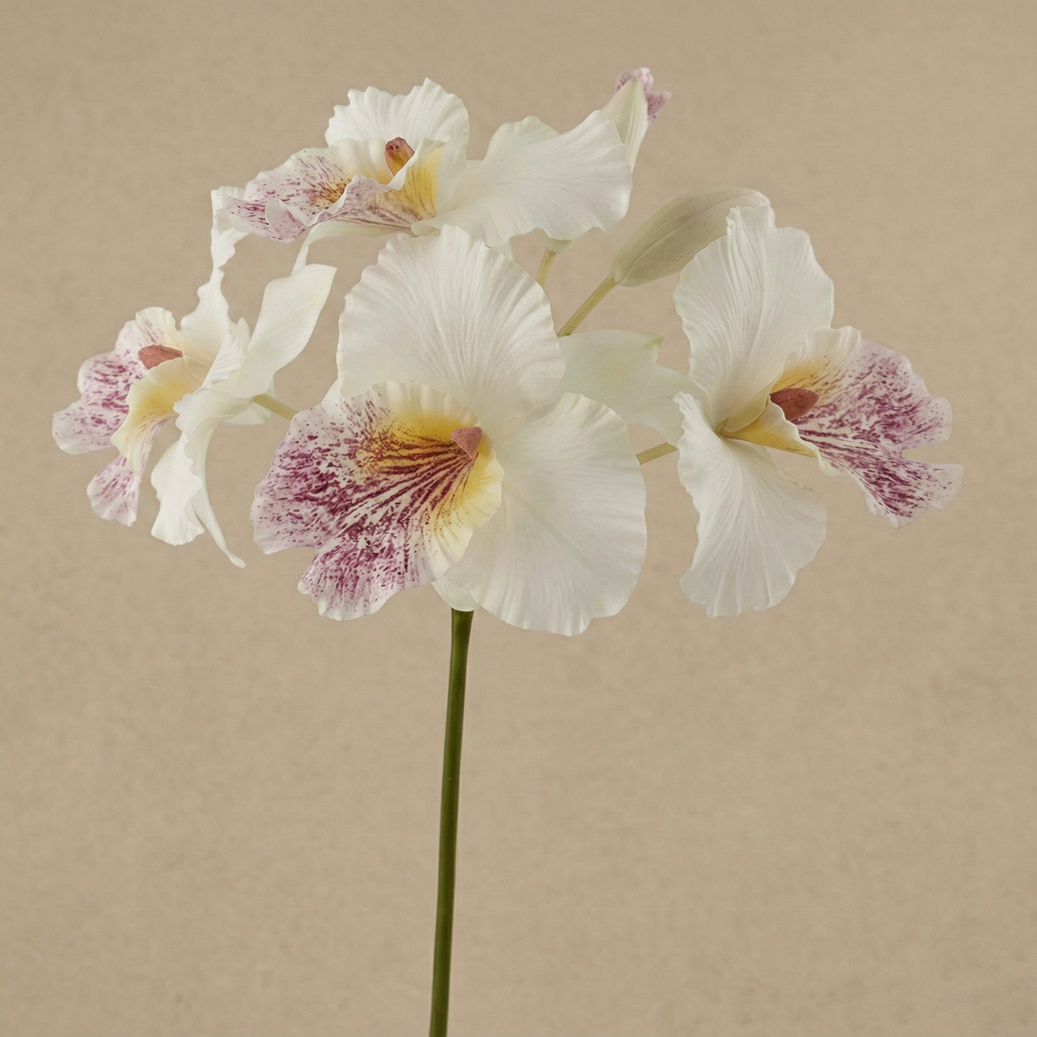 Mazzo orchidea h.43 Piante e fiori artificiali