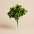 Bosso Chic Cespuglio h.26cm