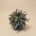 Sfera Lavanda