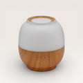 Vaporizzatore essenze per ultrasuoni Diffusore ambiente