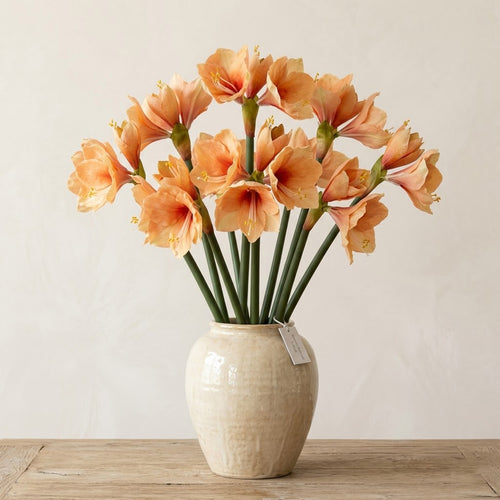 Amaryllis Real Artificiale H.66 cm