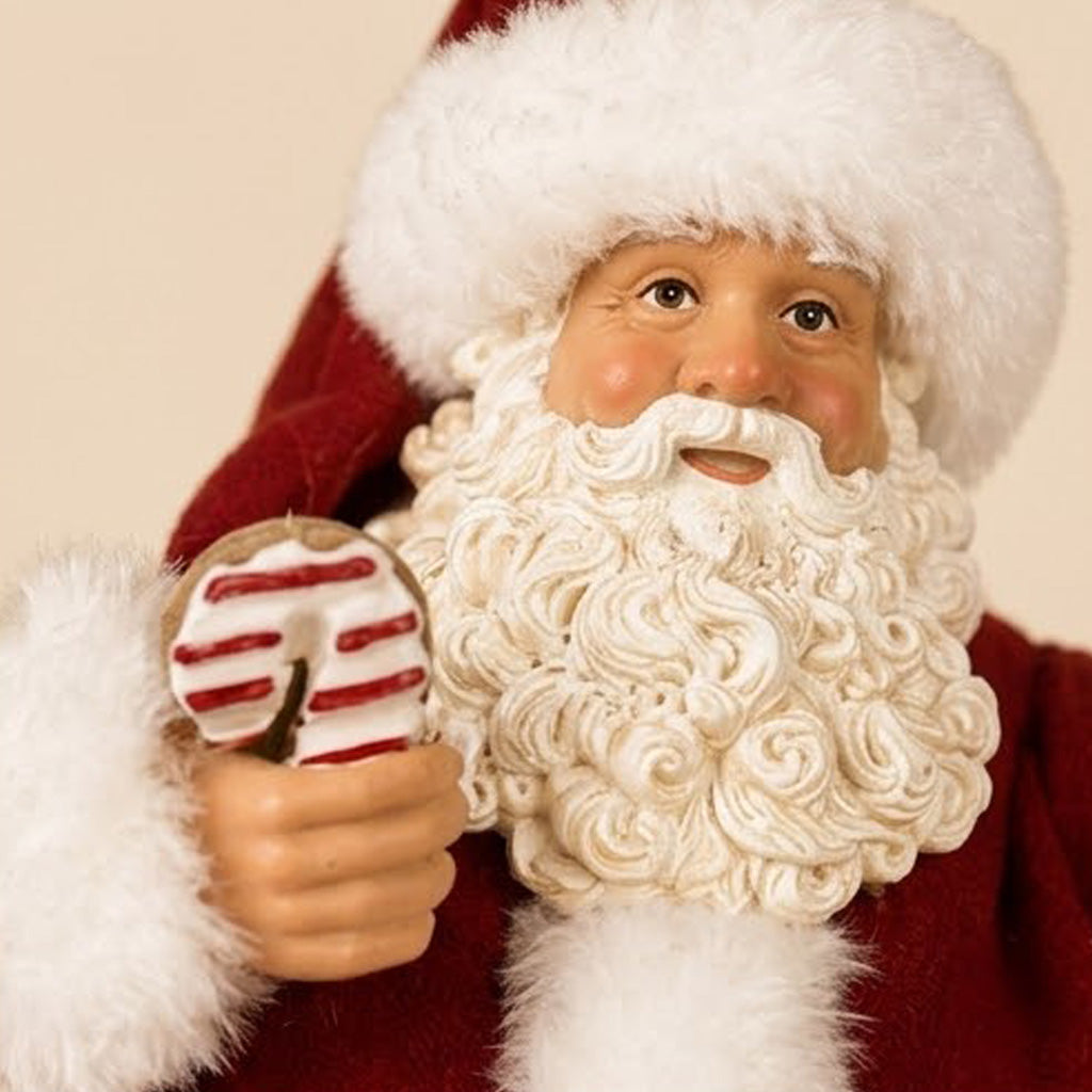Babbo Natale Decorativo con gattino