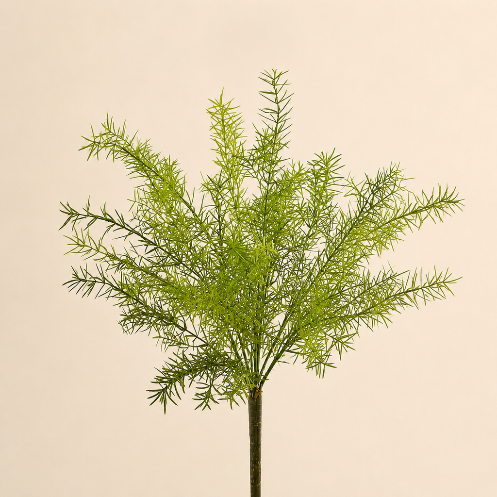 Asparagus Artificiale H.83 cm