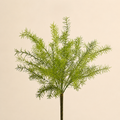 Asparagus Artificiale H.83 cm